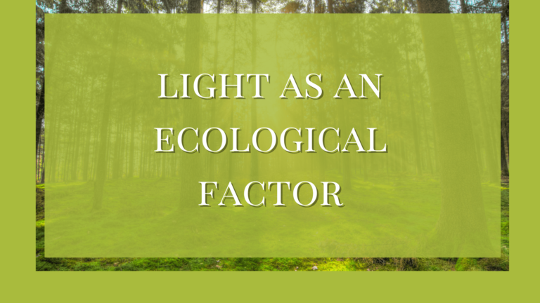 Light as an Ecological Factor