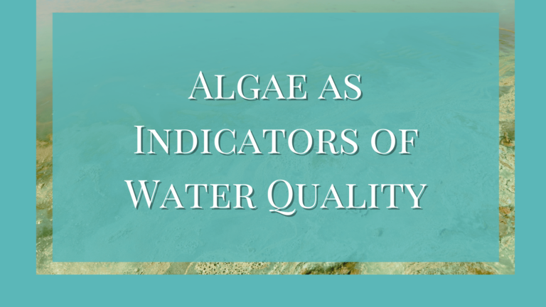 algae as indicator of water quality
