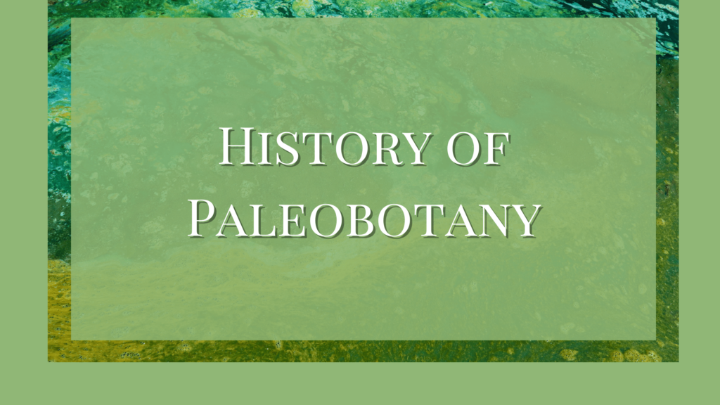 history of paleobotany