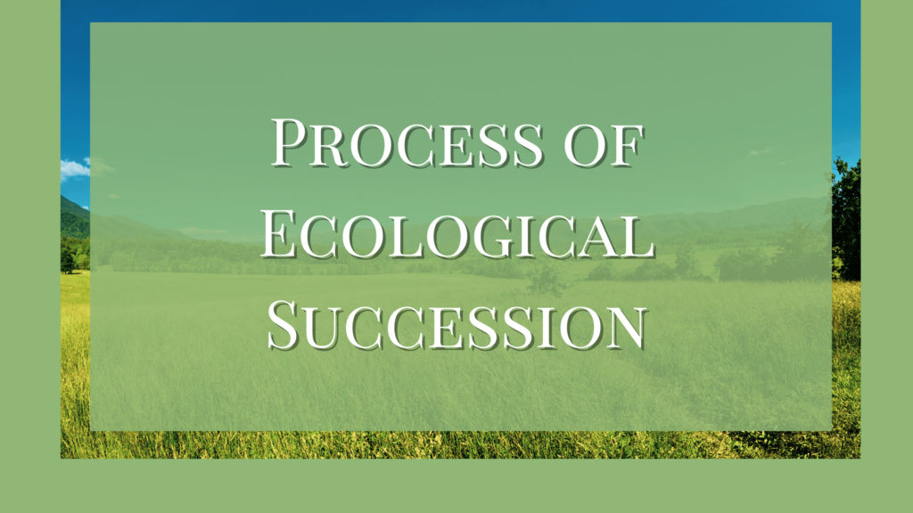types of ecological succession
