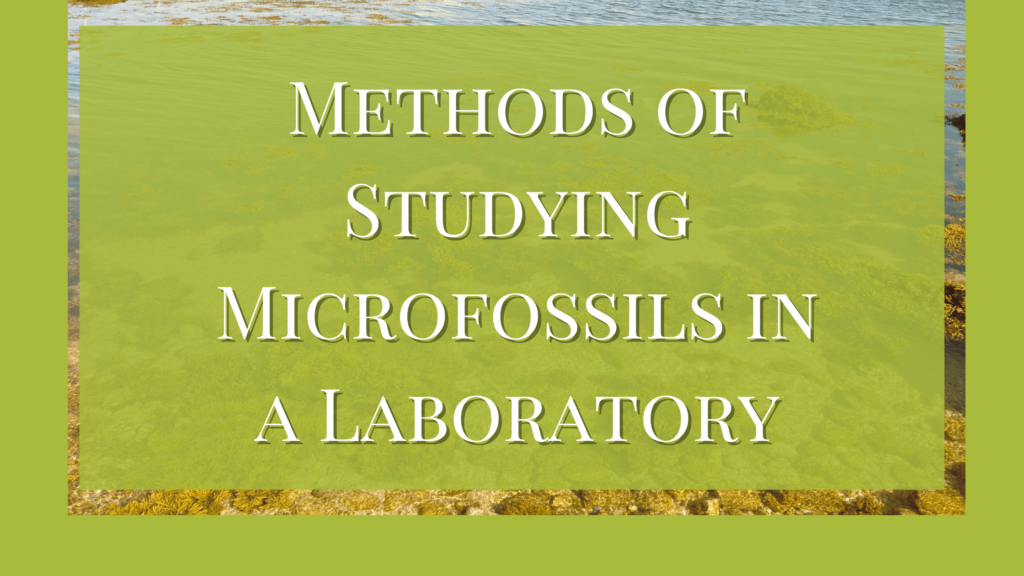 studying microfossils