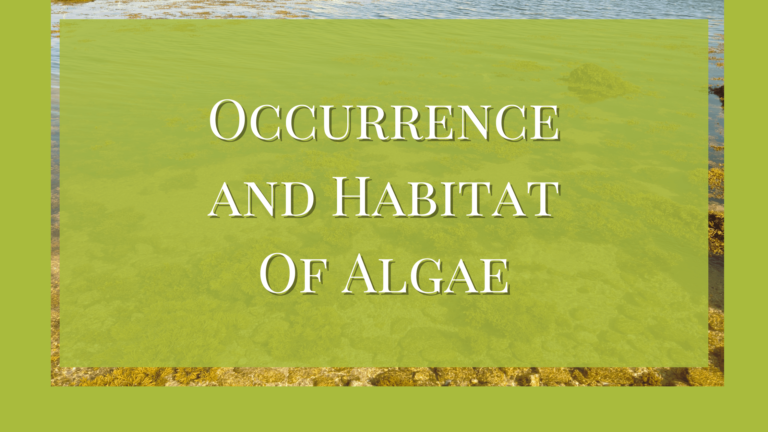 habitat of algae
