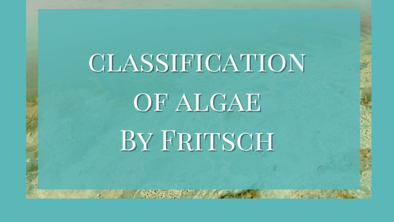 Classification Of Algae By Fritsch
