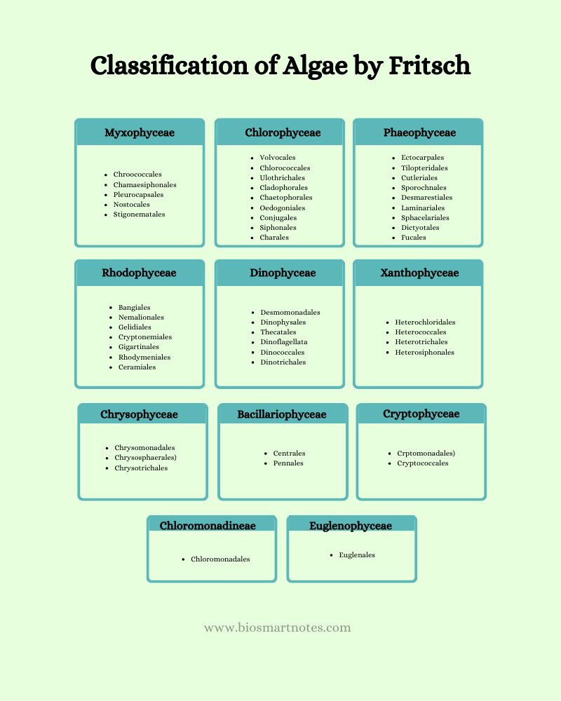 classification of algae by fritsch