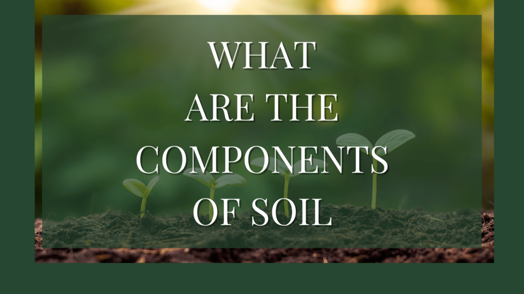 What Are The Components Of Soil