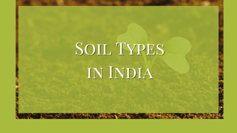 different types of soil in india