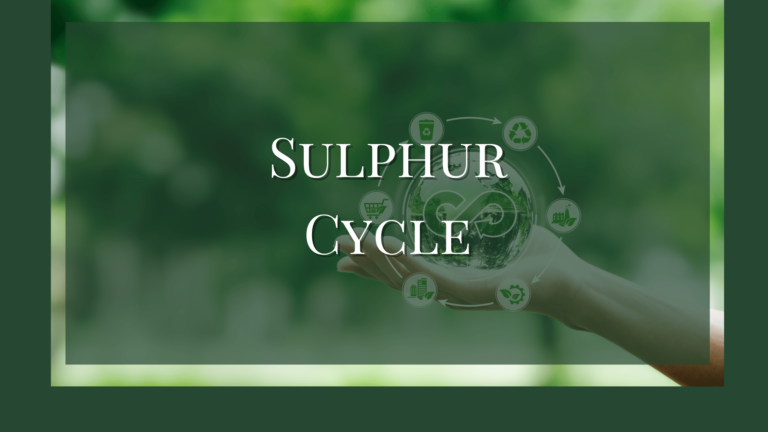 what is sulphur cycle