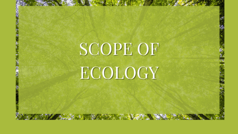 scope of ecology