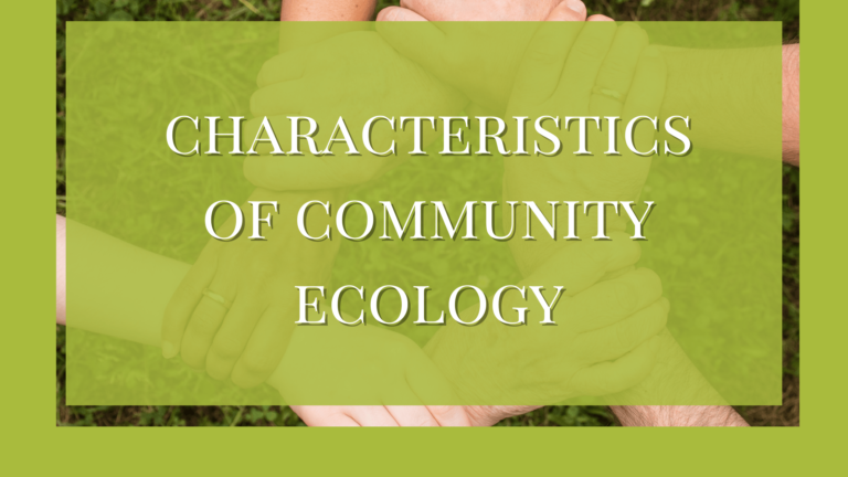 characteristics of community ecology