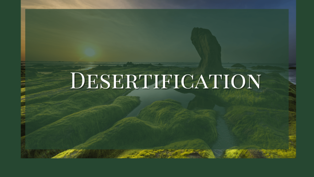 what is desertification explain