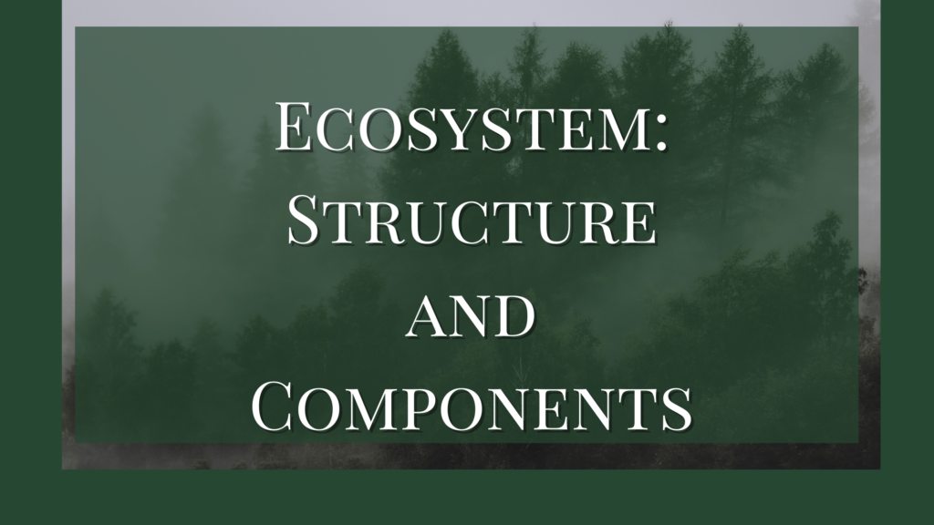 what is ecosystem and its components