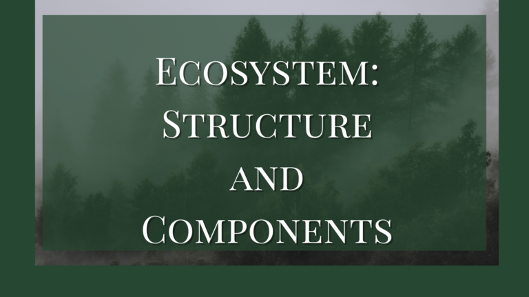 what is ecosystem and its components