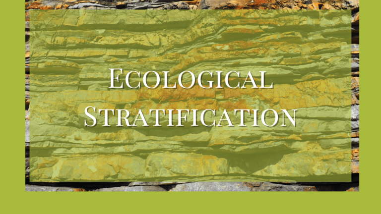 Ecological Stratification