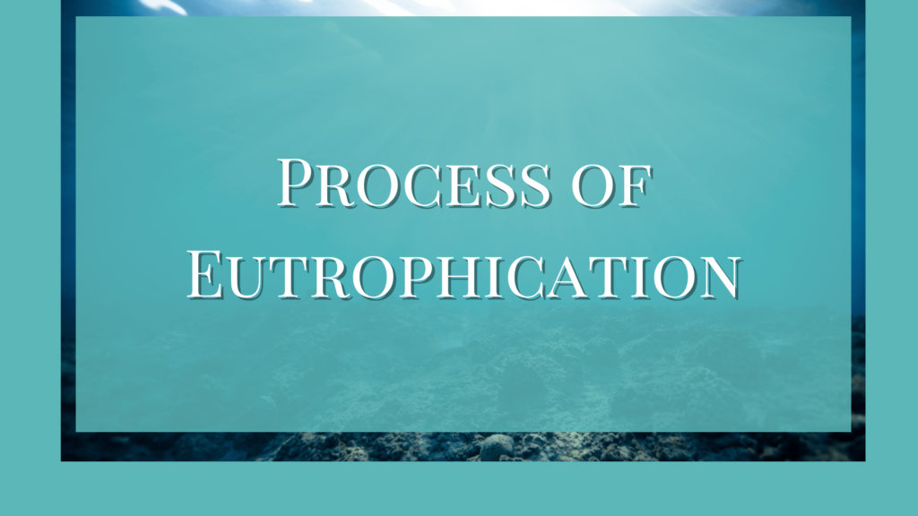 process of eutrophication