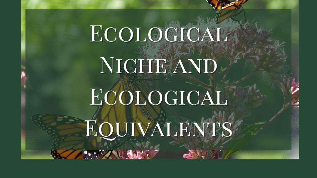 ecological niche and ecological equivalents