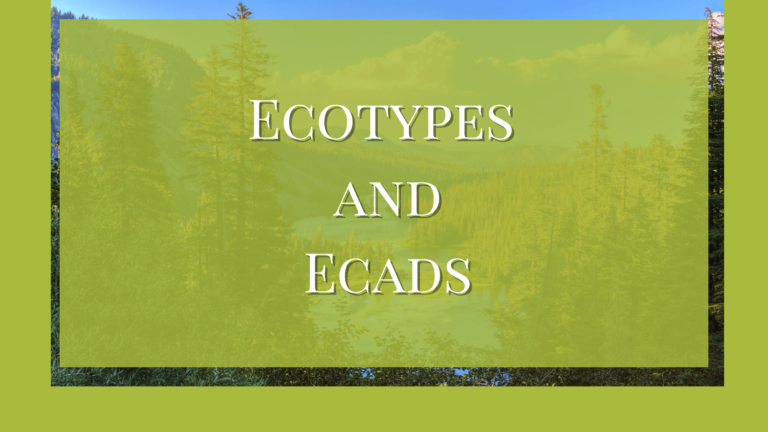 ecotypes and ecads