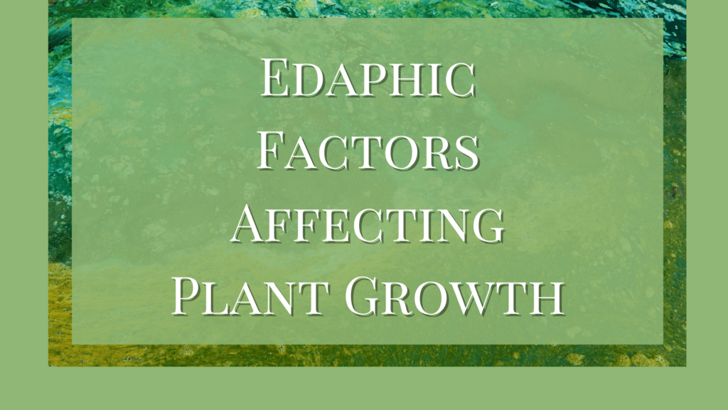 Edaphic Factors Affecting Plant Growth