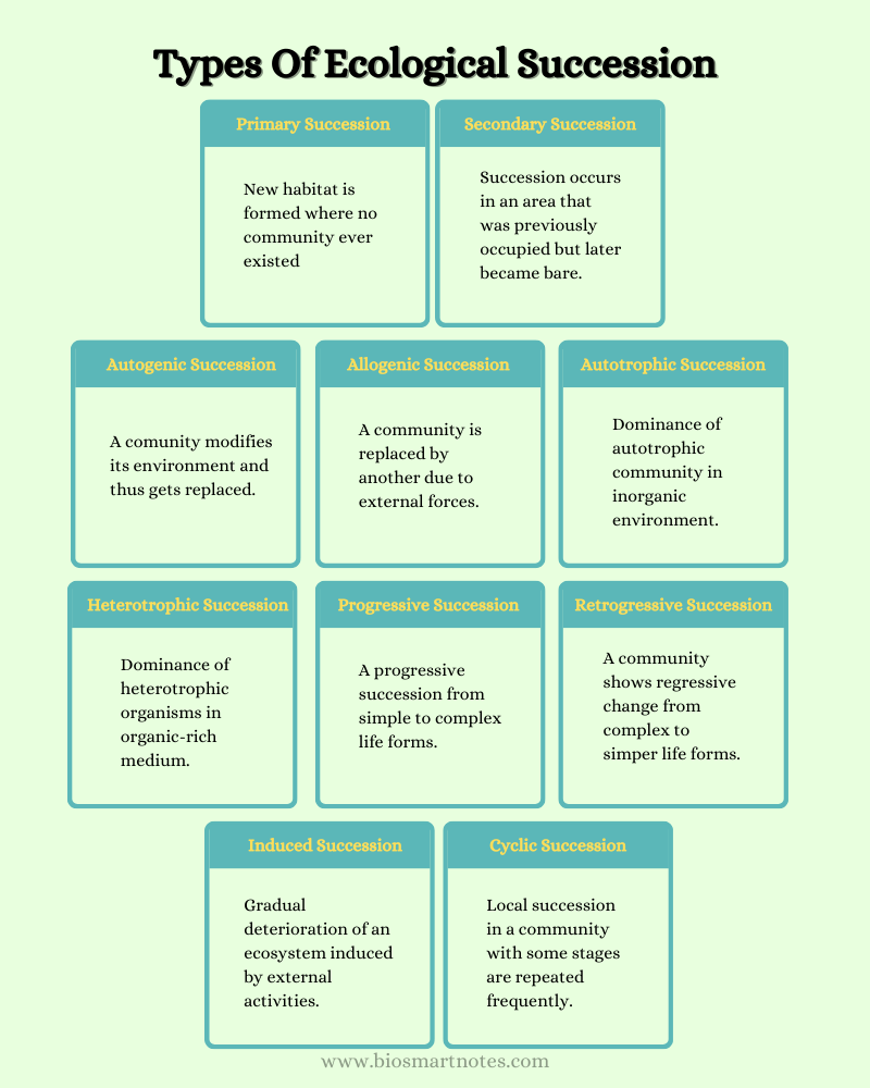 Types Of Ecological Succession