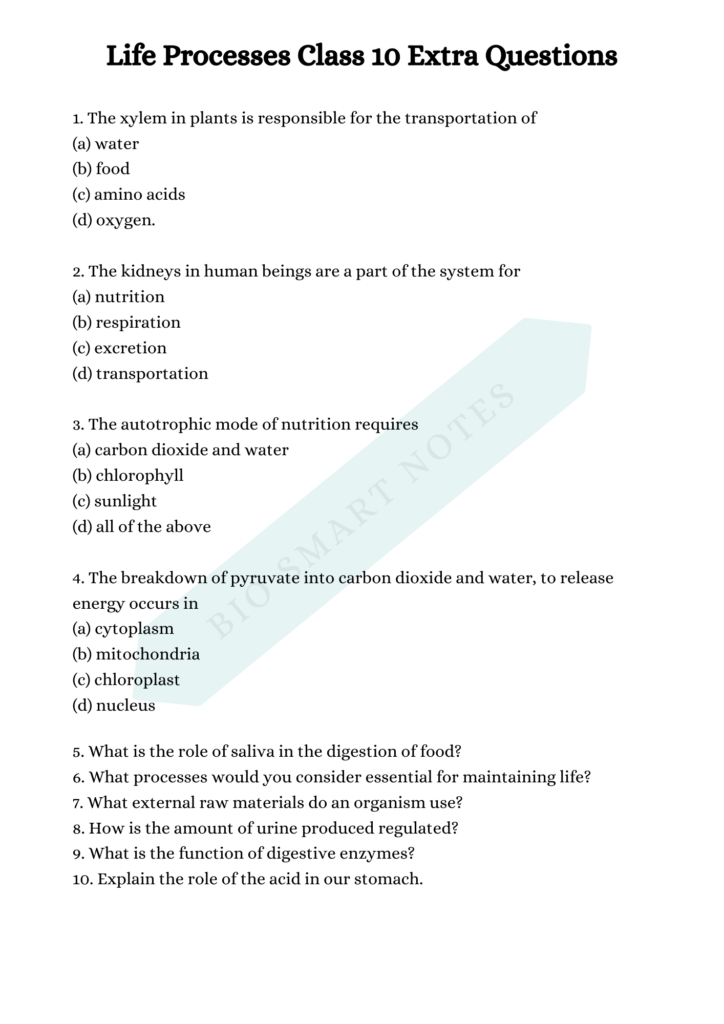 class 10 life processes extra questions