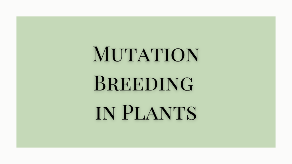 Mutation Breeding in Plants