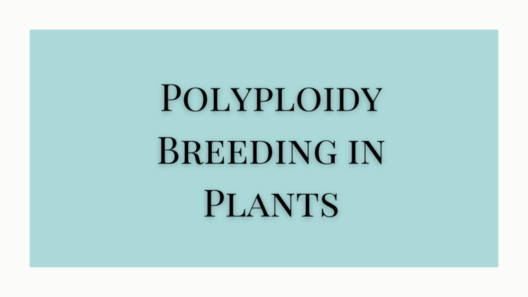 Polyploidy Breeding in Plants