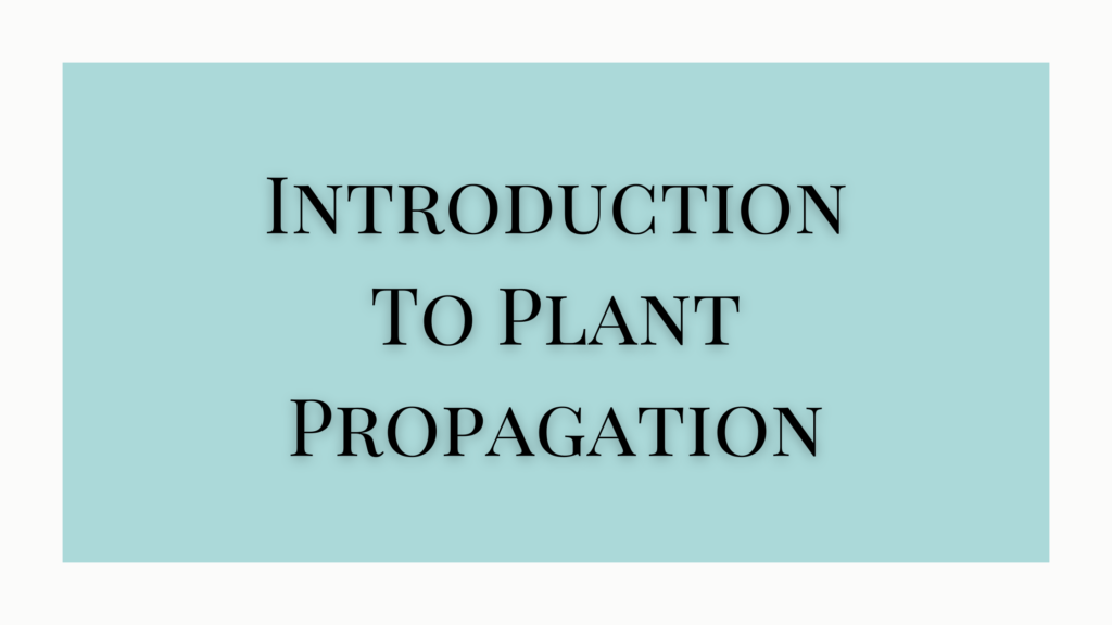 Introduction To Plant Propagation