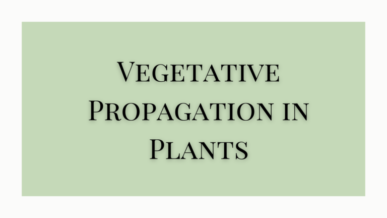 Vegetative Propagation in Plants