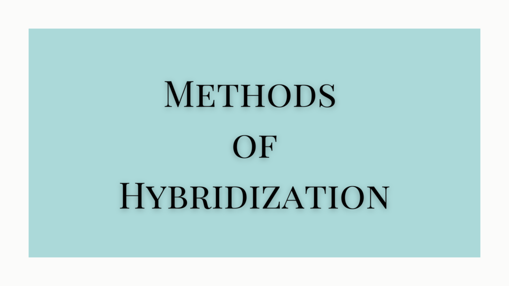 Methods Of Hybridization