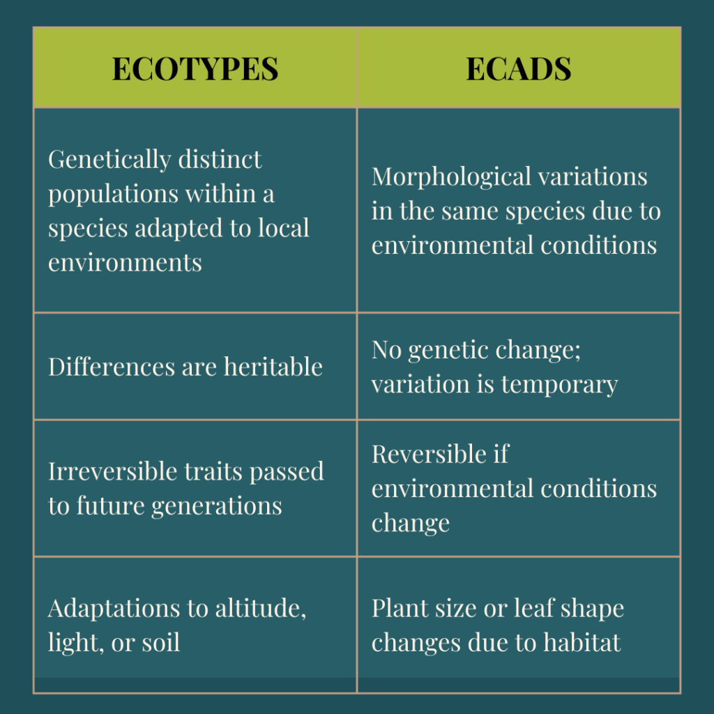 ecotypes and ecads