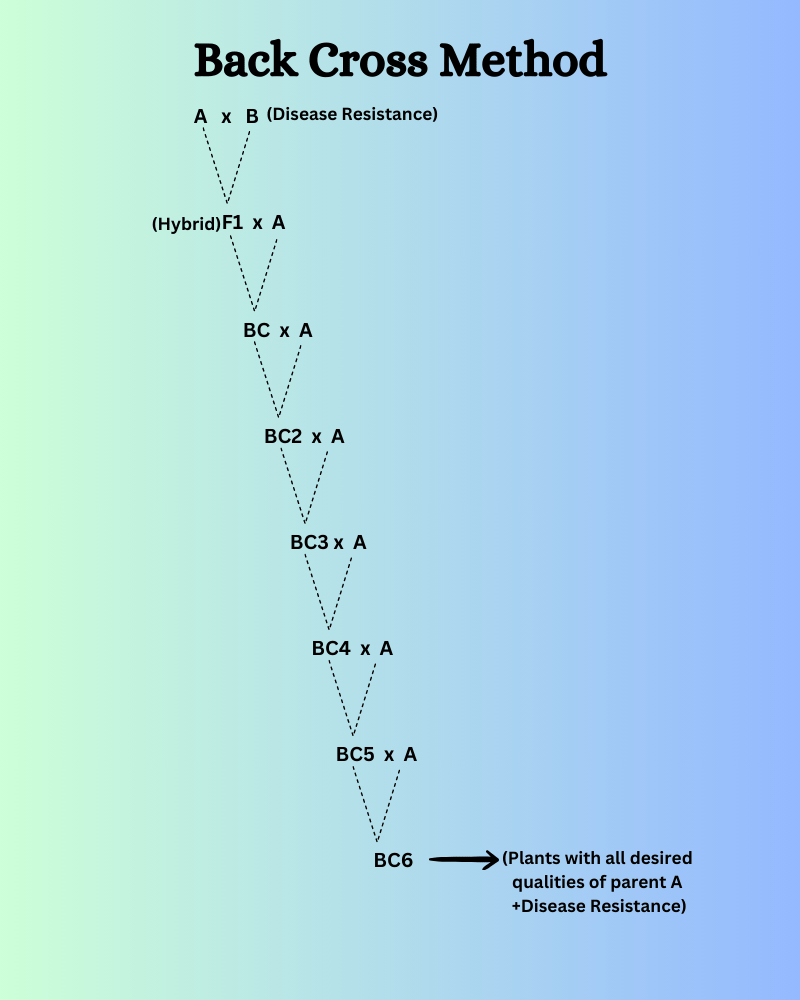 methods of hybridization