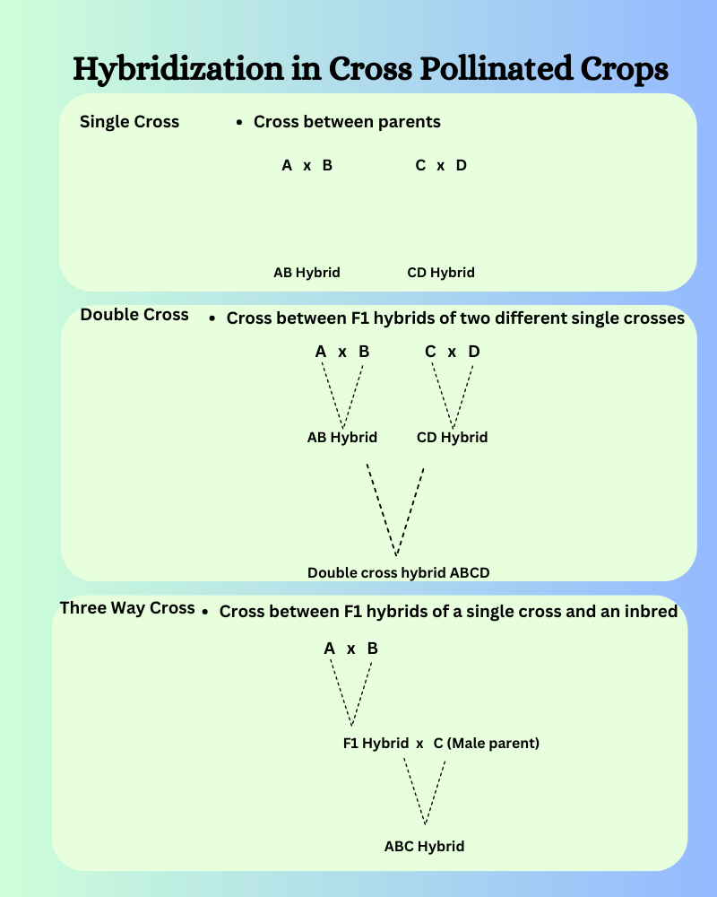 methods of hybridization