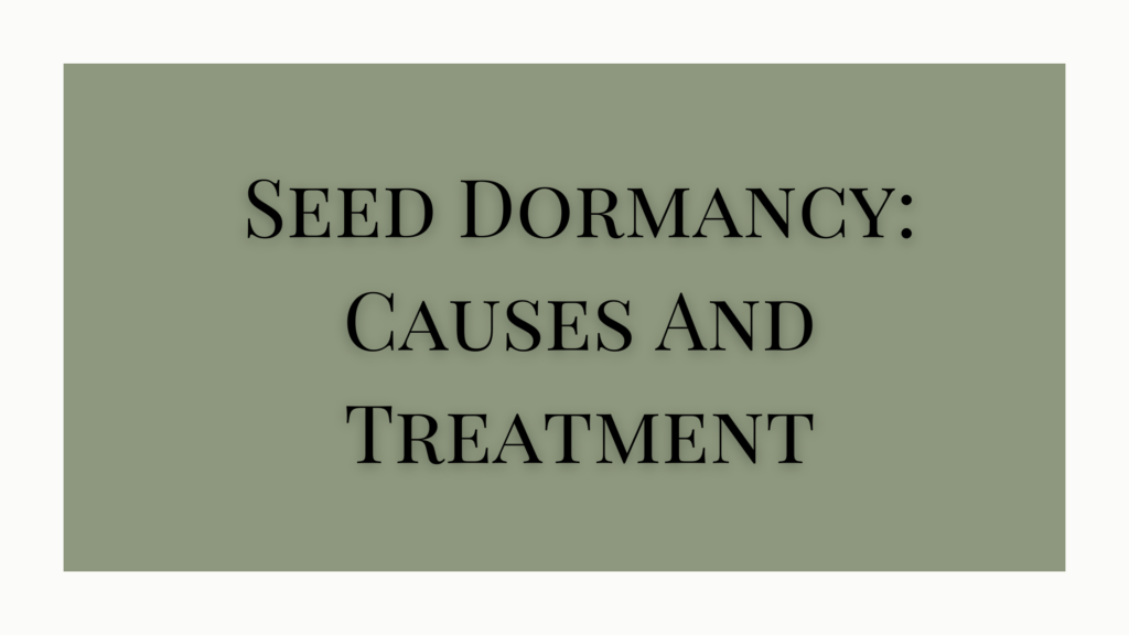 seed dormancy causes and treatment