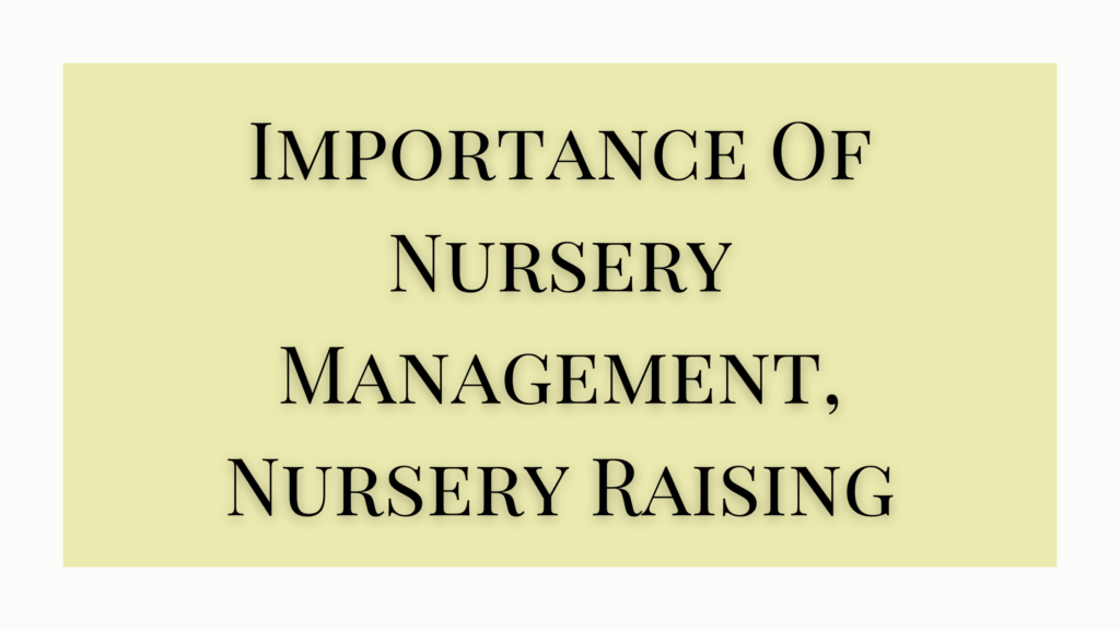 importance of nursery management