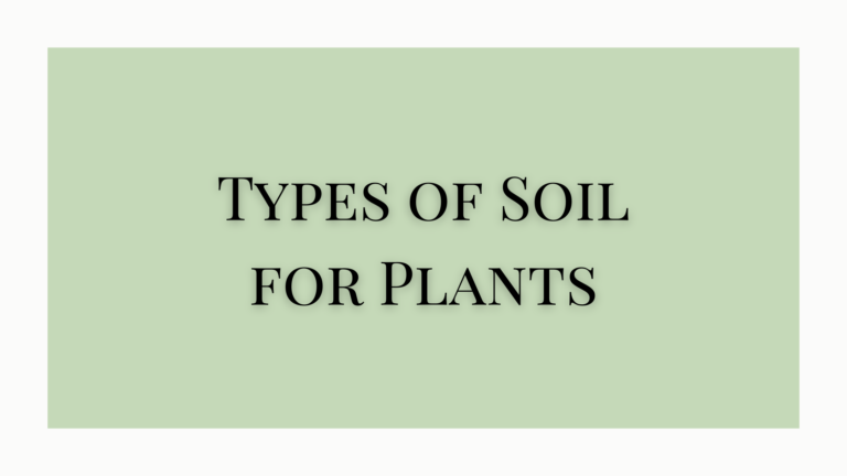 types of soil for plants