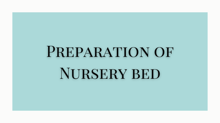 Preparation of Nursery bed