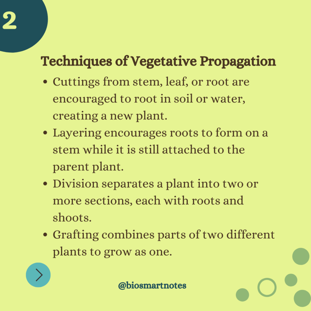 vegetative propagation techniques