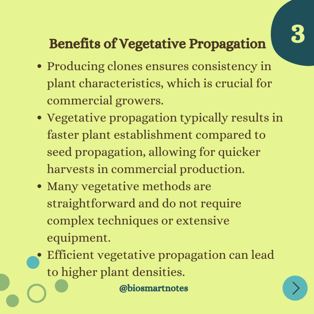 advantages of vegetative propagation in plants