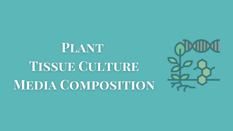 Plant Tissue Culture Media Composition