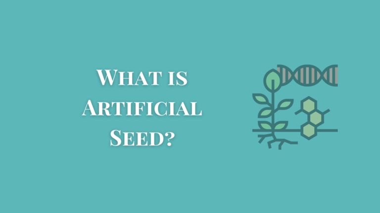 Artificial seeds