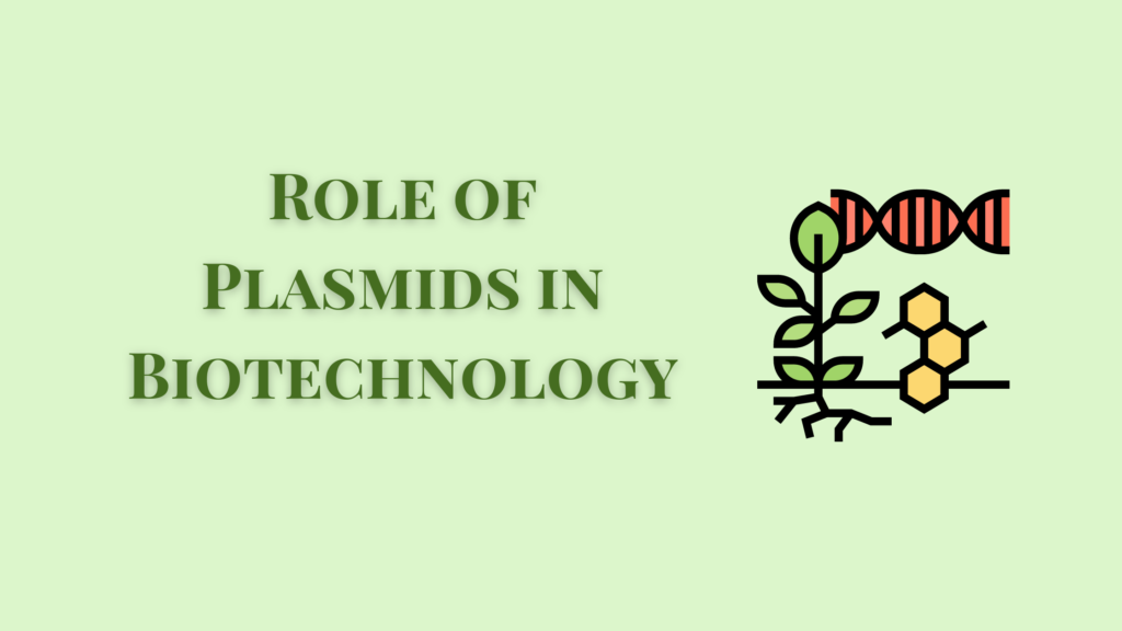 Role of Plasmids in Biotechnology