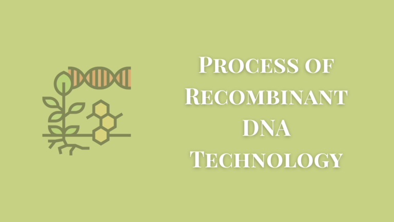 The Process of Recombinant DNA Technology