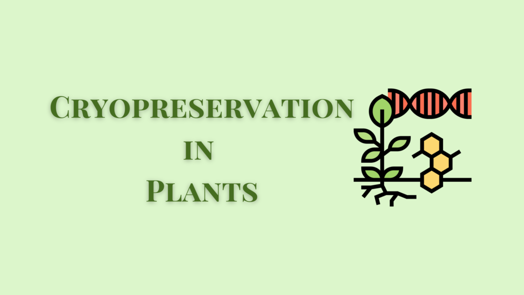 cryopreservation in plants