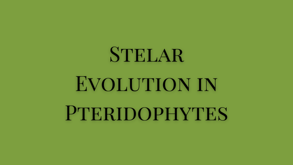 Stelar Evolution in Pteridophytes