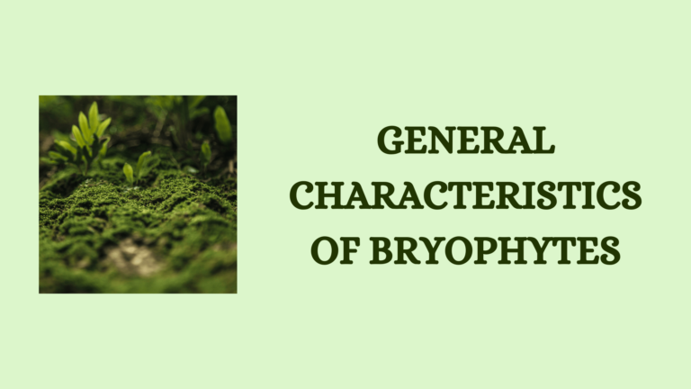 General Characteristics of Bryophytes