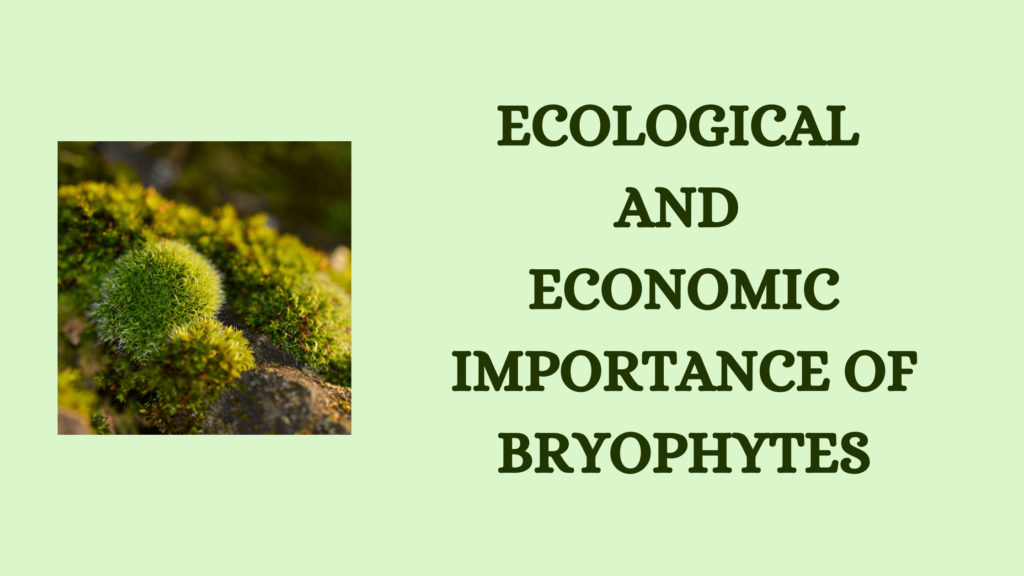 Ecological and Economic Importance of Bryophytes