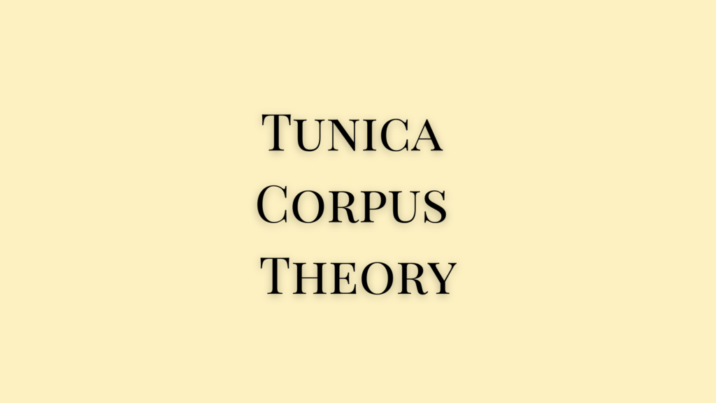 Tunica Corpus Thoery