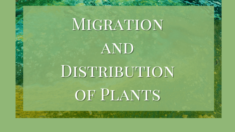 Distribution of Plants