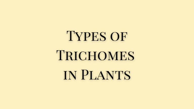 Trichomes in Plants