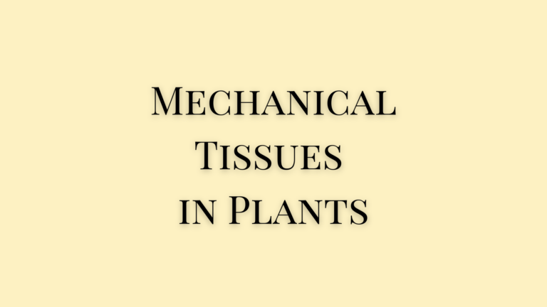 Mechanical Tissues in Plants