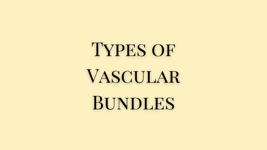 Types of Vascular Bundles